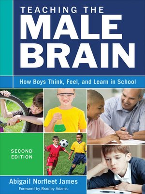 Teaching the Male Brain - ebook